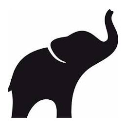 Elephant Vinyl Decal Sticker V87 - DecalsHouse