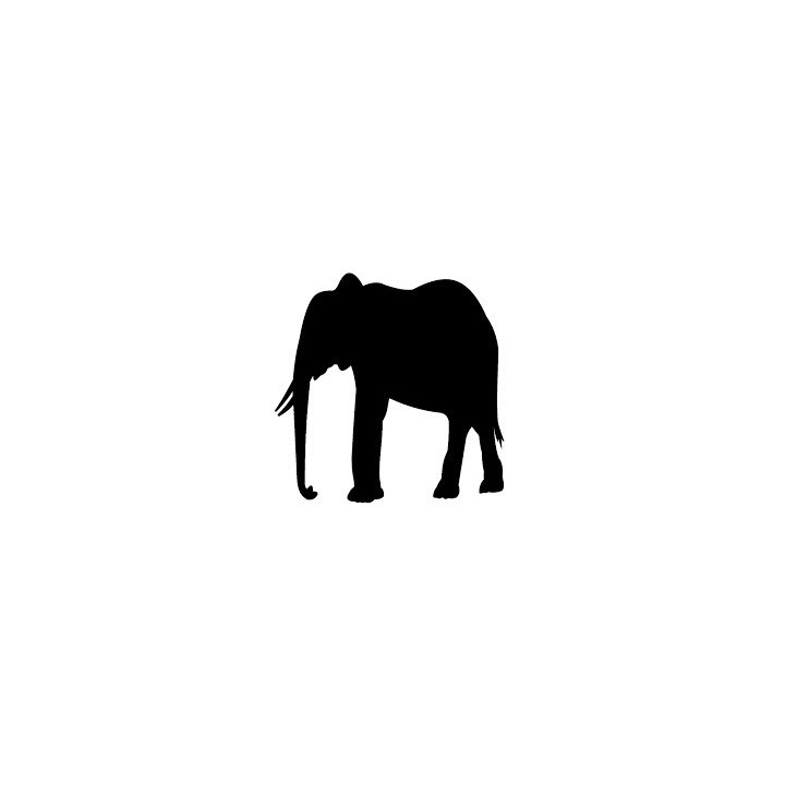Elephant Vinyl Decal Sticker V96 - DecalsHouse