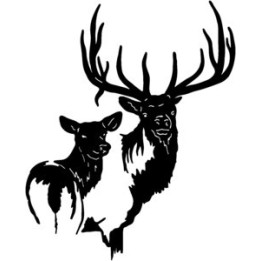 Elk Vinyl Decal Sticker V12 - DecalsHouse