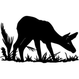 Elk Vinyl Decal Sticker V15 - DecalsHouse