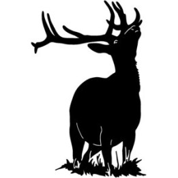 Elk Vinyl Decal Sticker V3 - DecalsHouse