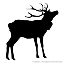 Elk Vinyl Decal Sticker V39 - DecalsHouse