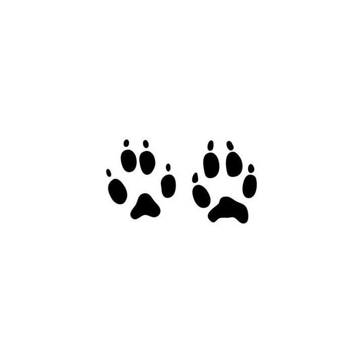 Fox Prints Vinyl Decal Sticker - DecalsHouse