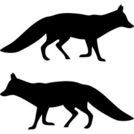 Fox Animal V49 Stickers – Wildlife Car Window Van Decals (2-Pack)