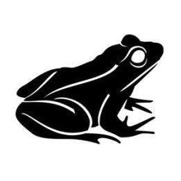Frog Vinyl Decal Sticker V10 - DecalsHouse