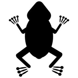 Frog Vinyl Decal Sticker V103 - DecalsHouse