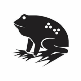 Frog Vinyl Decal Sticker V104 - DecalsHouse