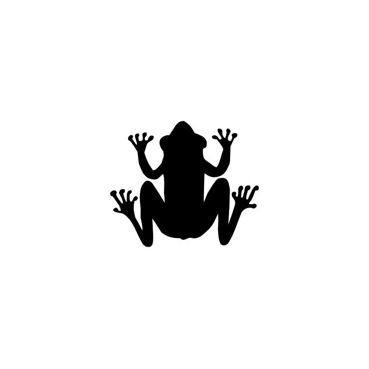 Frog Vinyl Decal Sticker V119 - DecalsHouse