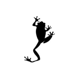 Frog Vinyl Decal Sticker V12 - DecalsHouse