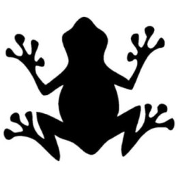 Frog Vinyl Decal Sticker V23 - DecalsHouse
