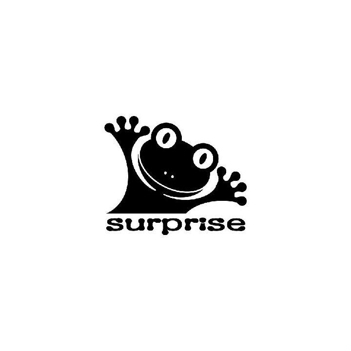 Frog Vinyl Decal Sticker V24 - DecalsHouse