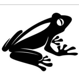 Frog Vinyl Decal Sticker V31 - DecalsHouse