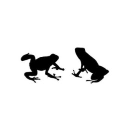 Frog Vinyl Decal Sticker V42 - DecalsHouse