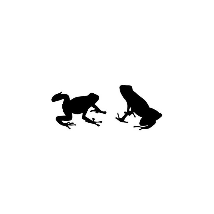 Frog Vinyl Decal Sticker V42 - DecalsHouse