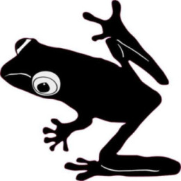 Frog Vinyl Decal Sticker V43 - DecalsHouse