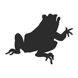Frog Vinyl Decal Sticker V45 - DecalsHouse