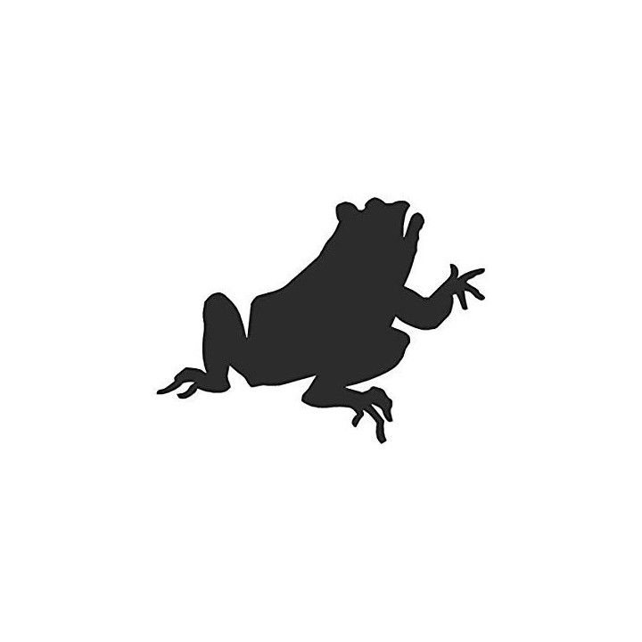 Frog Vinyl Decal Sticker V45 - DecalsHouse