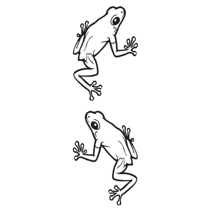Frog Vinyl Decal Sticker V49 - DecalsHouse