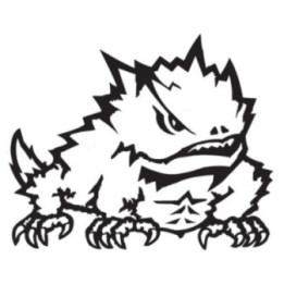 Frog Vinyl Decal Sticker V59 - DecalsHouse