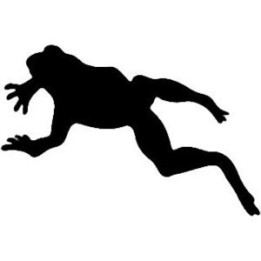 Frog Vinyl Decal Sticker V7 - DecalsHouse