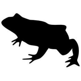 Frog Vinyl Decal Sticker V80 - DecalsHouse