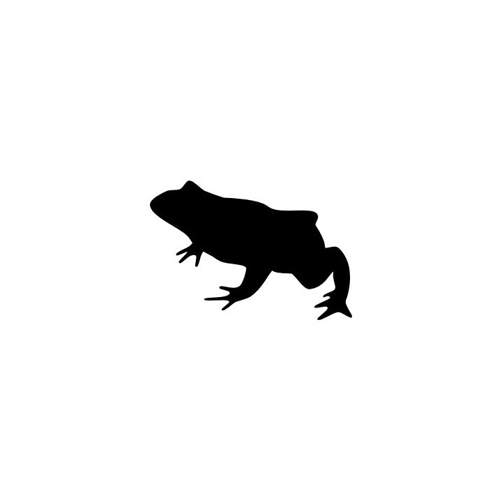 Frog Vinyl Decal Sticker V80 - DecalsHouse