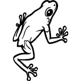 Frog Vinyl Decal Sticker V85 - DecalsHouse