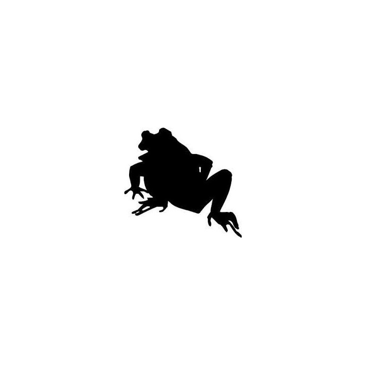 Frog Vinyl Decal Sticker V88 - DecalsHouse
