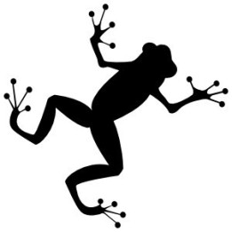 Frog Vinyl Decal Sticker V89 - DecalsHouse