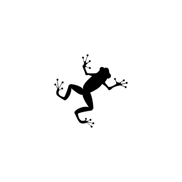 Frog Vinyl Decal Sticker V89 - DecalsHouse