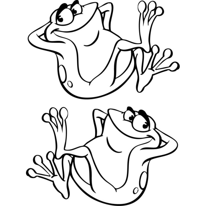 Frog V90 Stickers – Traditional Forest Series Animal Decals (2-Pack)