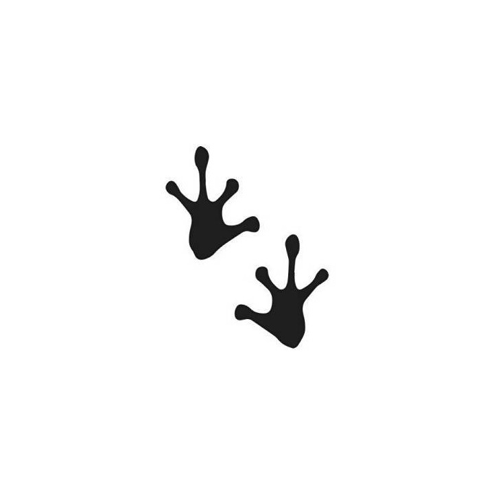 Frog Vinyl Decal Sticker V99 - DecalsHouse