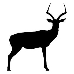 Gazelle Vinyl Decal Sticker V22 - DecalsHouse
