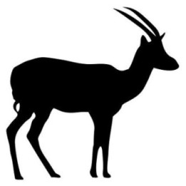 Gazelle Vinyl Decal Sticker V24 - DecalsHouse