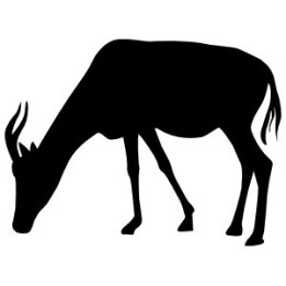 Gazelle Vinyl Decal Sticker V33 - DecalsHouse