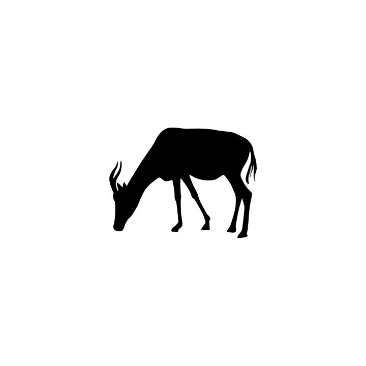 Gazelle Vinyl Decal Sticker V33 - DecalsHouse