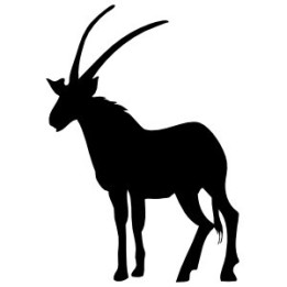 Gazelle Vinyl Decal Sticker V37 - DecalsHouse