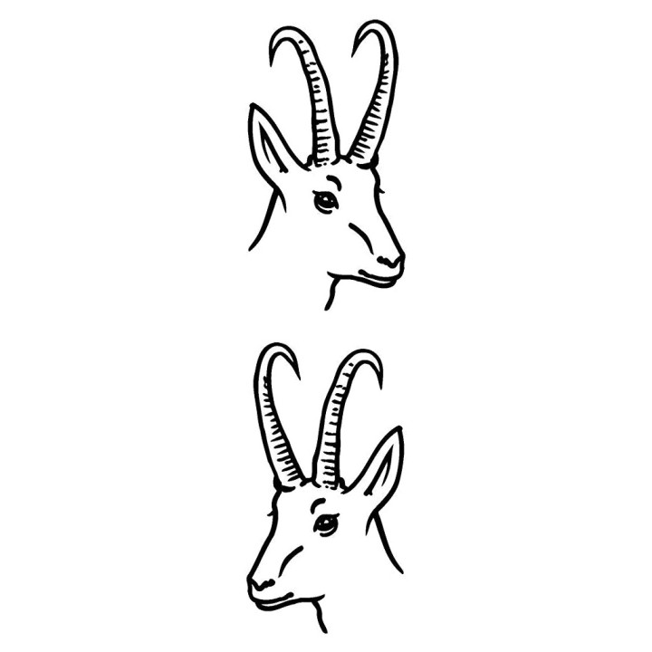 Gazelle Vinyl Decal Sticker V9 - DecalsHouse
