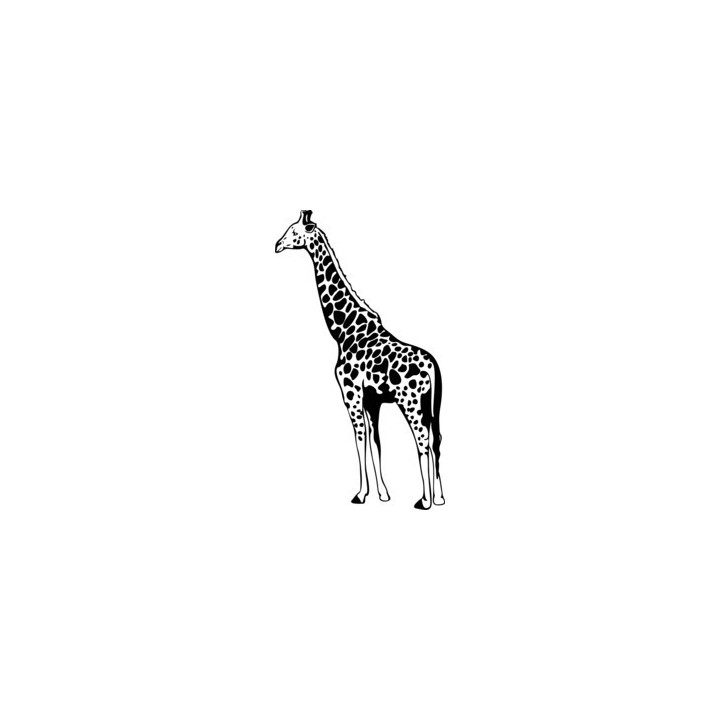 Giraffe Vinyl Decal Sticker V2 - DecalsHouse