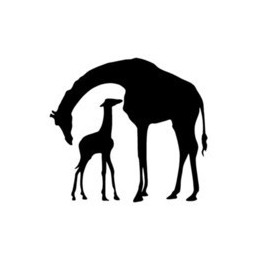Giraffe Vinyl Decal Sticker V37 - DecalsHouse