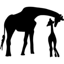 Giraffe Vinyl Decal Sticker V41 - DecalsHouse
