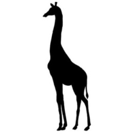 Giraffe Vinyl Decal Sticker V48 - DecalsHouse