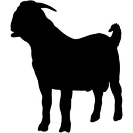 Goat Vinyl Decal Sticker V10 - DecalsHouse