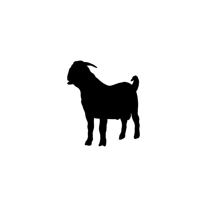 Goat Vinyl Decal Sticker V10 - DecalsHouse