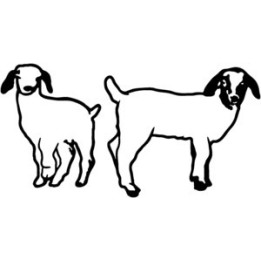 Goat Stickers – Farm Animal Goat Decals (2-Pack)