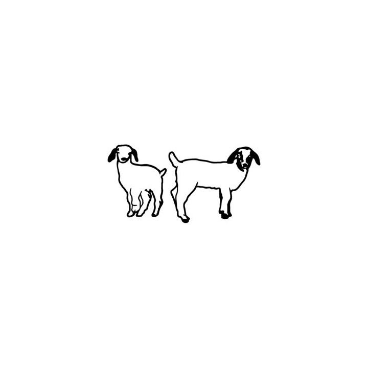 Goat Stickers – Farm Animal Goat Decals (2-Pack)
