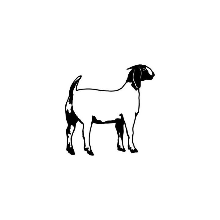 Goat Stickers – Boer Goat Farm Animal Decals (2-Pack)