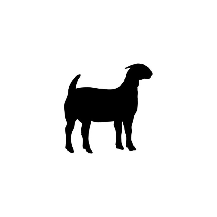 Goat Silhouette Stickers – Billy Goat Decals (2-Pack)