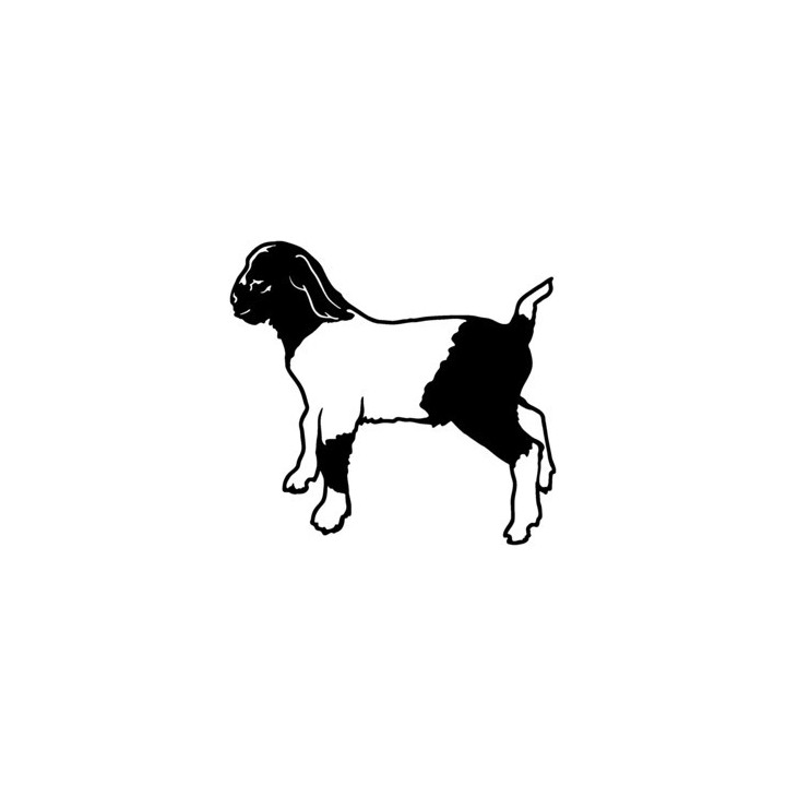 Boer Goat Stickers – Farm Animal Goat Decals (2-Pack)