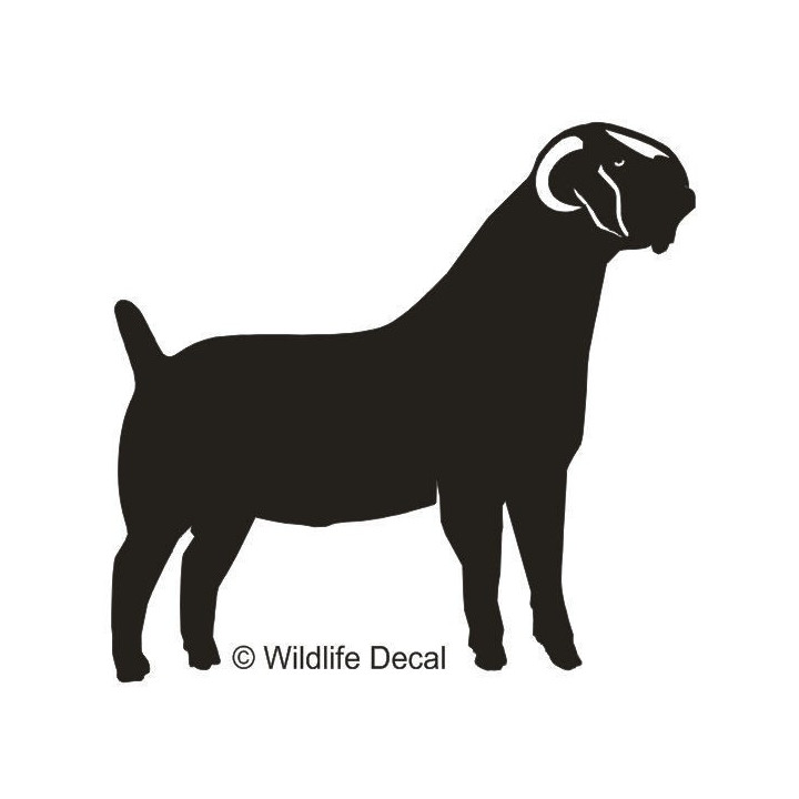 Boer Goat Stickers – Farm Goat Silhouette Decals (2-Pack)